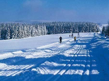Apartment Jungst Winterberg Dış mekan fotoğraf