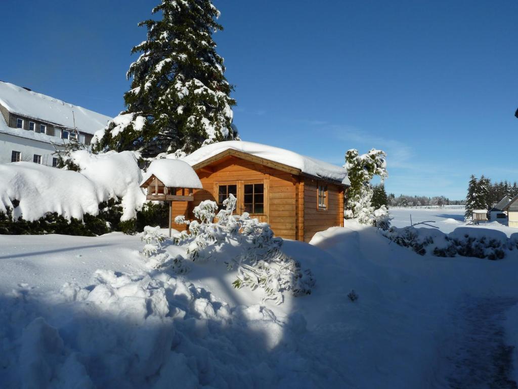 Apartment Jungst Winterberg Dış mekan fotoğraf