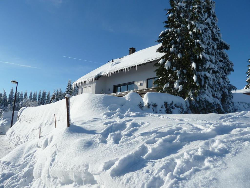 Apartment Jungst Winterberg Dış mekan fotoğraf